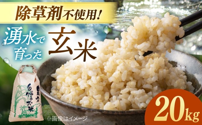 
            玄米 20kg弥山岳の岩清水で育ったノガミファームの お米 ▼ おすすめ 人気 ランキング 除草剤 不使用高評価 国産 福岡県産 九州 米 お米 玄米 ご飯 ごはん ゴハン 精米前 未精米 桂川町/NOGAMI FARM[ADAU012]
          