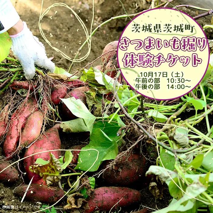 491 さつまいも掘り 体験チケット （４名まで利用可能）