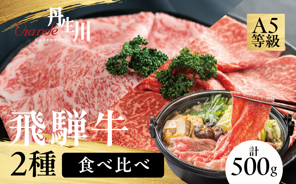 2種食べ比べ すき焼き！ 飛騨牛 A5等級 500g (サーロイン250g＋赤身もも250g)  | 黒毛和牛 ブランド牛 和牛 牛肉 鍋 豪華 飛騨高山 丹生川精肉 JJ005VC13