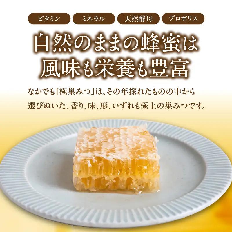  【TVで紹介！】 はちみつ 国産純粋蜂蜜 極巣みつ 310g 非加熱 はちみつ ハチミツ 生はちみつ ローハニー オススメ 贈答 贈り物 プレゼント 八女市 183-005