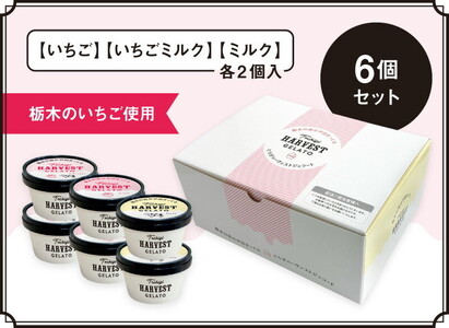 ジェラート「Harvest Gelato」 6個|いちごジェラート ジェラート アイスクリーム アイスセット スイーツ デザート ミルク 夏ギフト 贈り物 お返し 誕生日 プレゼント ギフト お祝い