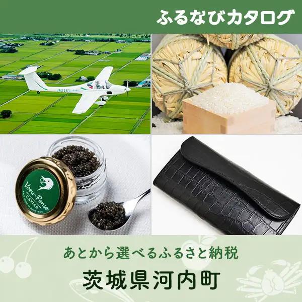 【有効期限なし！後からゆっくり特産品を選べる】茨城県河内町カタログポイント