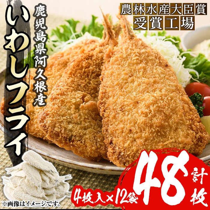 数量限定！鹿児島県産あくねのいわしフライ(計48枚・4枚入×12袋)国産 加工品 惣菜 揚げ物 セット 詰め合わせ おつまみ おかず 魚介【又間水産】akn001-11