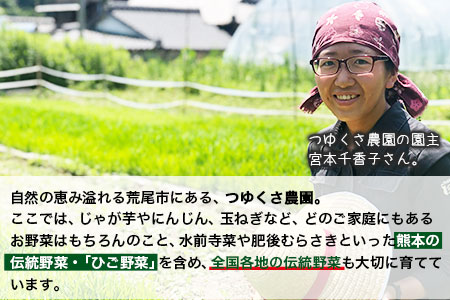 古代米 (赤米/黒米/緑米) 900g 熊本県荒尾市産 赤米300g×1袋 黒米300g×1袋 緑米300g×1袋 米 つゆくさ農園 《30日以内に出荷予定(土日祝除く)》 美味しい米 お米 熊本県産