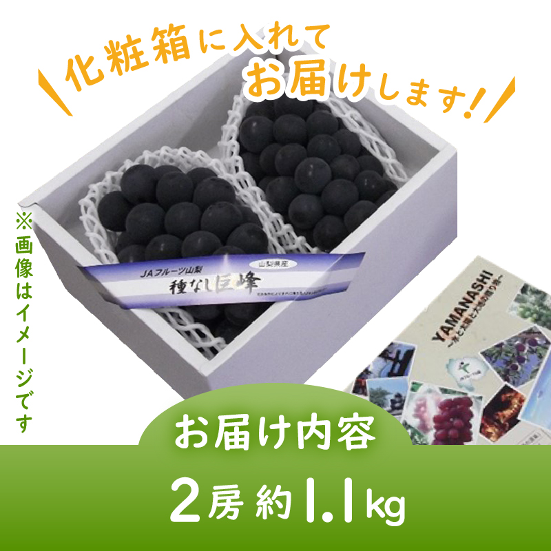 JAフルーツ山梨 甲州市産種なし巨峰2房【80】【2024年発送】B-104