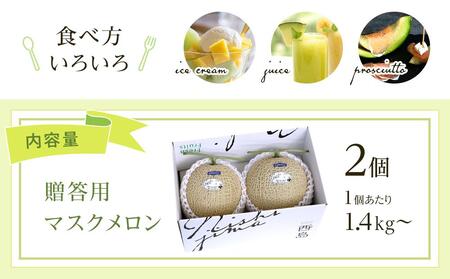 高知県南国市産／贈答用マスクメロン（2個）【メロン フルーツメロン くだもの メロン デザート メロン 高評価 メロン 厳選 メロン 高級 メロン ギフト メロン 贈り物 メロン  人気 おすすめ】