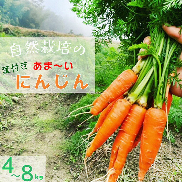 【ふるさと納税】＼選べる内容量／人参 4kg～8kg【期間限定】自然栽培の甘い 葉付き人参 京都府・亀岡産 かたもとオーガニックファームよりお届け 《訳あり サイズ不揃い にんじん 国産 京都産 栽培期間中農薬不使用》 ※2025年1月～6月頃に順次発送 ※離島への発送不可