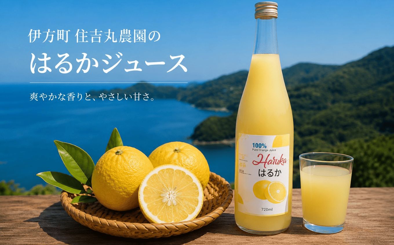 【ふるさと納税 】 はるかジュース 【ふるさと納税 人気 おすすめ ランキング はるかジュース みかん ミカン オレンジ 無農薬 有機栽培 佐田岬半島 農家直送 住吉丸農園 愛媛県 伊方町 送料無料】 IKTBN002