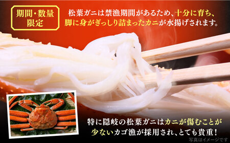 【期間限定・先行予約】冬の味覚の代表格！松葉ガニ 1枚 島根県松江市/フジキコーポレーション株式会社[ALDS017] 松葉ガニ カニ