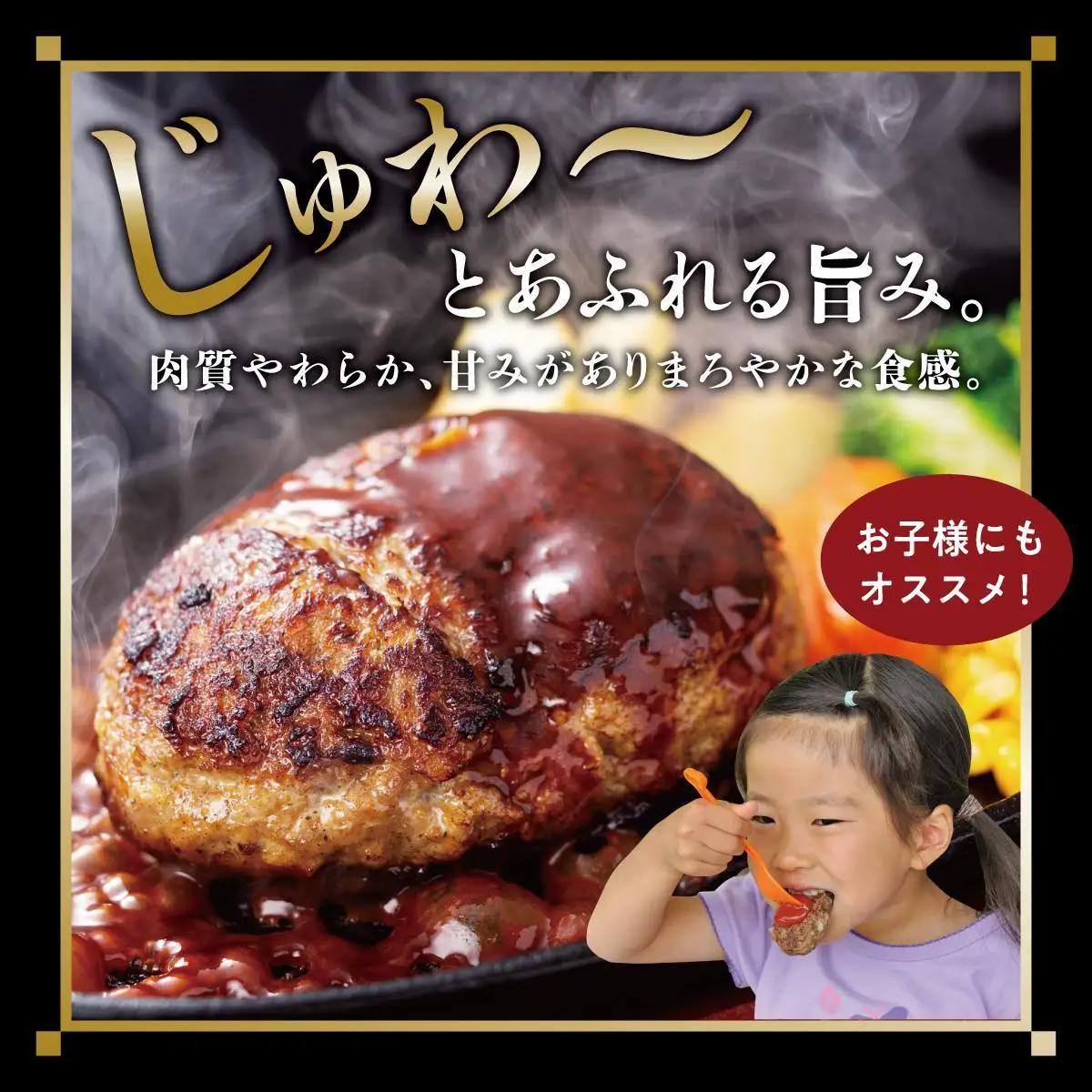 ハンバーグ 120g × 4個（480g）冷凍【美ら島あぐ～】   