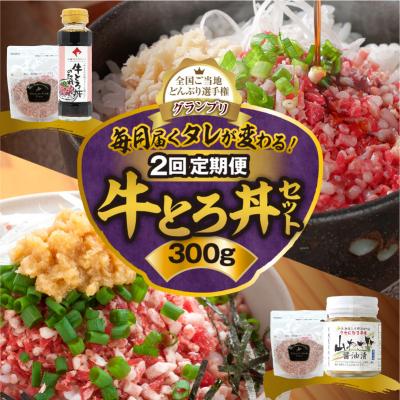 ふるさと納税 清水町 【2回定期便】毎月付属のタレが変わる!?受賞歴多数!牛とろ丼セット300g