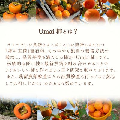 ふるさと納税 瑞穂市 Umai 柿 富有 プレミアム 6玉(岐阜県瑞穂市産富有柿) |  | 01
