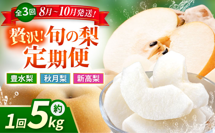 【先行予約】【3回定期便】 梨 約5kg 計約15kg（豊水・秋月・新高）  梨 ナシ フルーツ 果物 【日本フルーツ株式会社】 [ZFJ024]