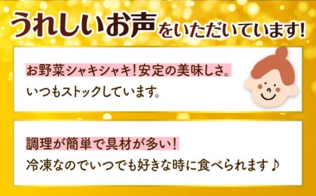 あの人気店の味をおうちで！【12回定期便】ちゃんぽん・皿うどんセット4食セット（各2食）【リンガーフーズ】 リンガーハット 長崎ちゃんぽん チャンポン うどん 冷凍 ギフト 長崎 スープ 麺 ちゃんぽ
