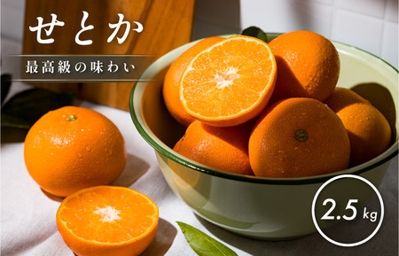【先行予約】【数量限定】ホリ田ヤ せとか 2.5kg【K002420】