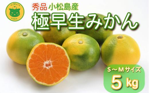【2025年9月20日以降発送】 みかん 秀品 極早生みかん 5kg 蜜柑 ミカン 柑橘 旬 フルーツ 果実 ジュース 小松島市 甘い ジューシー デザート 産地直送