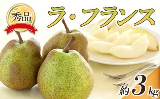【令和8年産先行予約】 ラ・フランス 約3kg (6～14玉 秀) 《令和8年10月下旬～11月下旬発送》 『フードシステムズ』 ラフランス 西洋梨 洋なし 果物 フルーツ デザート 山形県 南陽市 [848-R8]