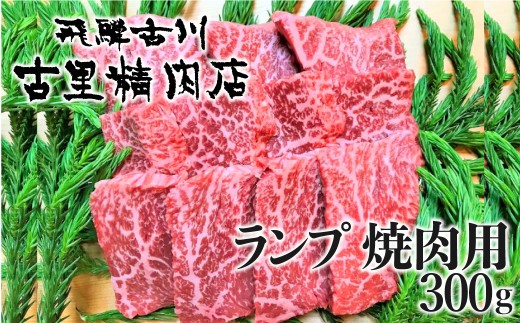 飛騨牛 5等級 もも肉レア部位 ランプ 焼肉用300ｇ 飛騨市推奨特産品 古里精肉店 牛肉 和牛 肉 焼肉 熨斗掛け 熨斗掛け 30000円 3万円 [C0043ch]