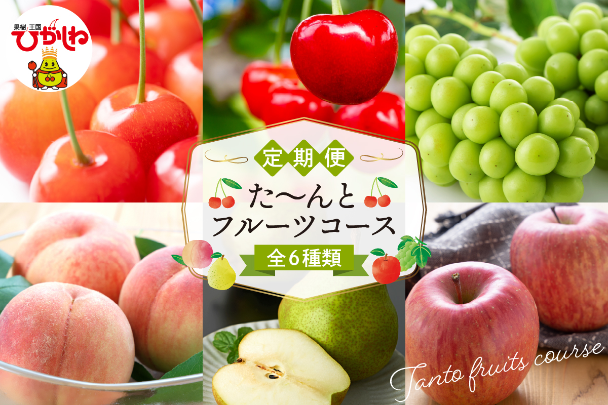 【2026年先行予約 6回 定期便】2026年 た～んと フルーツ コース 山形県 東根市 さくらんぼ もも シャインマスカット ラ・フランス りんご hi999-044