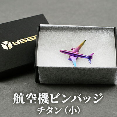 【ふるさと納税】航空機ピンバッジ　チタン（小） 雑貨 アクセサリー 小物 コレクション 乗り物 飛行機 航空機マニア 高級ピンバッジ ファッション小物 新潟県田上町
