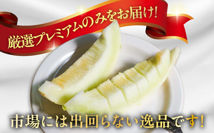 【2025年3月中旬~発送】【平成新山メロンPREMIUM（とみちゃん厳選）】しらかばメロン 約 5kg / メロン 南島原市 / うえだメロン園 [SAD002]