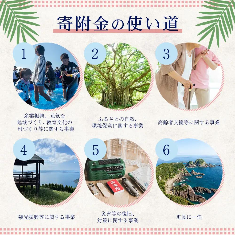 【返礼品なし】南大隅町への寄附　1口15,000円