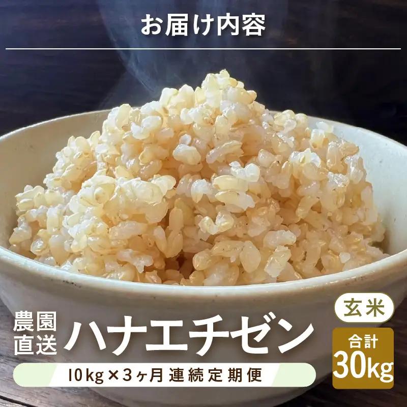 【先行予約】【令和8年産・新米】定期便 ≪3ヶ月連続お届け≫ ハナエチゼン10kg×3回 計30kg ～本原農園からまごころコメて～（玄米）【2026年9月上旬以降順次発送予定】 [F-8911_02