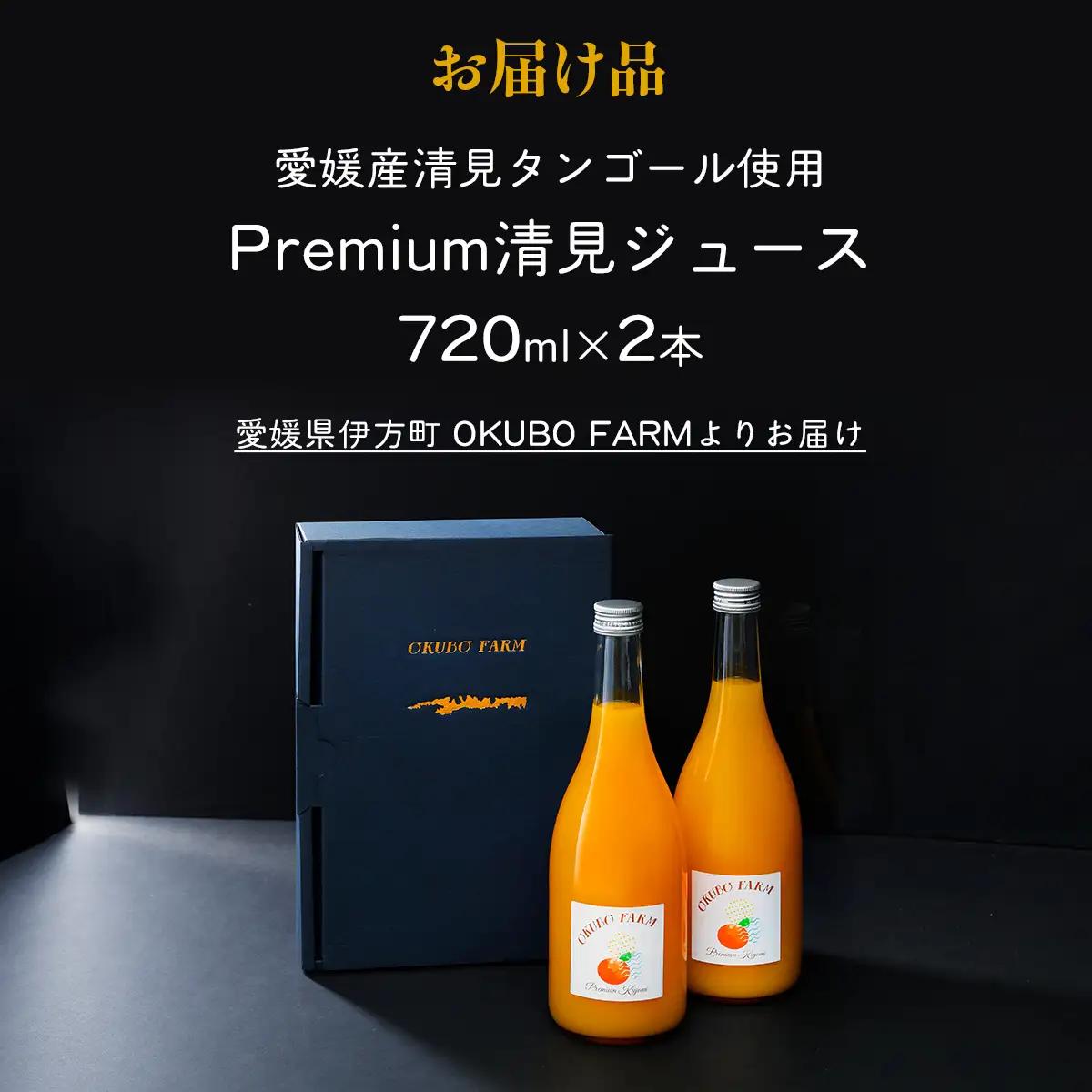 Premium清見ジュース（2本セット）※北海道・沖縄・離島への配送不可 【ふるさと納税 人気 おすすめ ランキング 柑橘 みかん ミカン フルーツ ジュース みかんジュース ミカンジュース オレンジ
