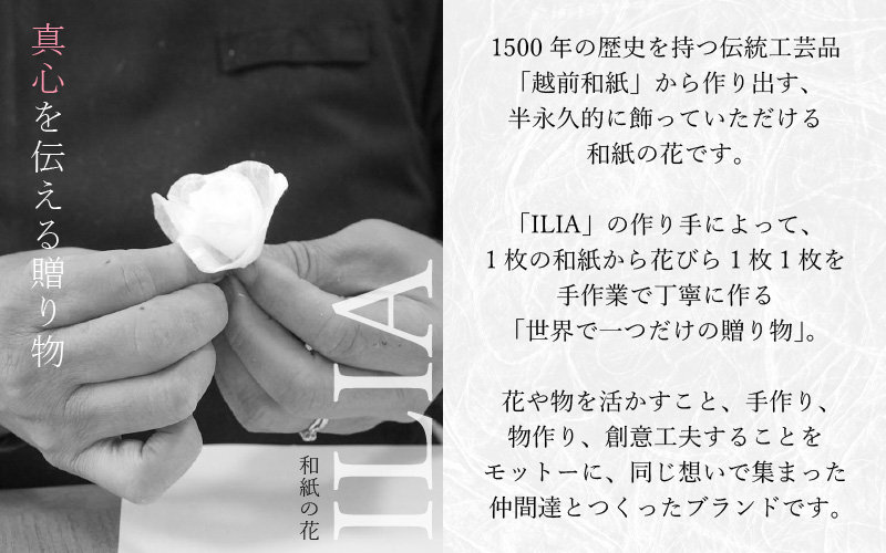 【先行予約】敬老の日限定 そのまま飾れる フラワーアレンジメント 生花【9月12日～15日発送】感謝を大切な人に メッセージカード付・越前和紙 小花一輪付【ギフト 手軽 花 華 おしゃれ プレゼント 