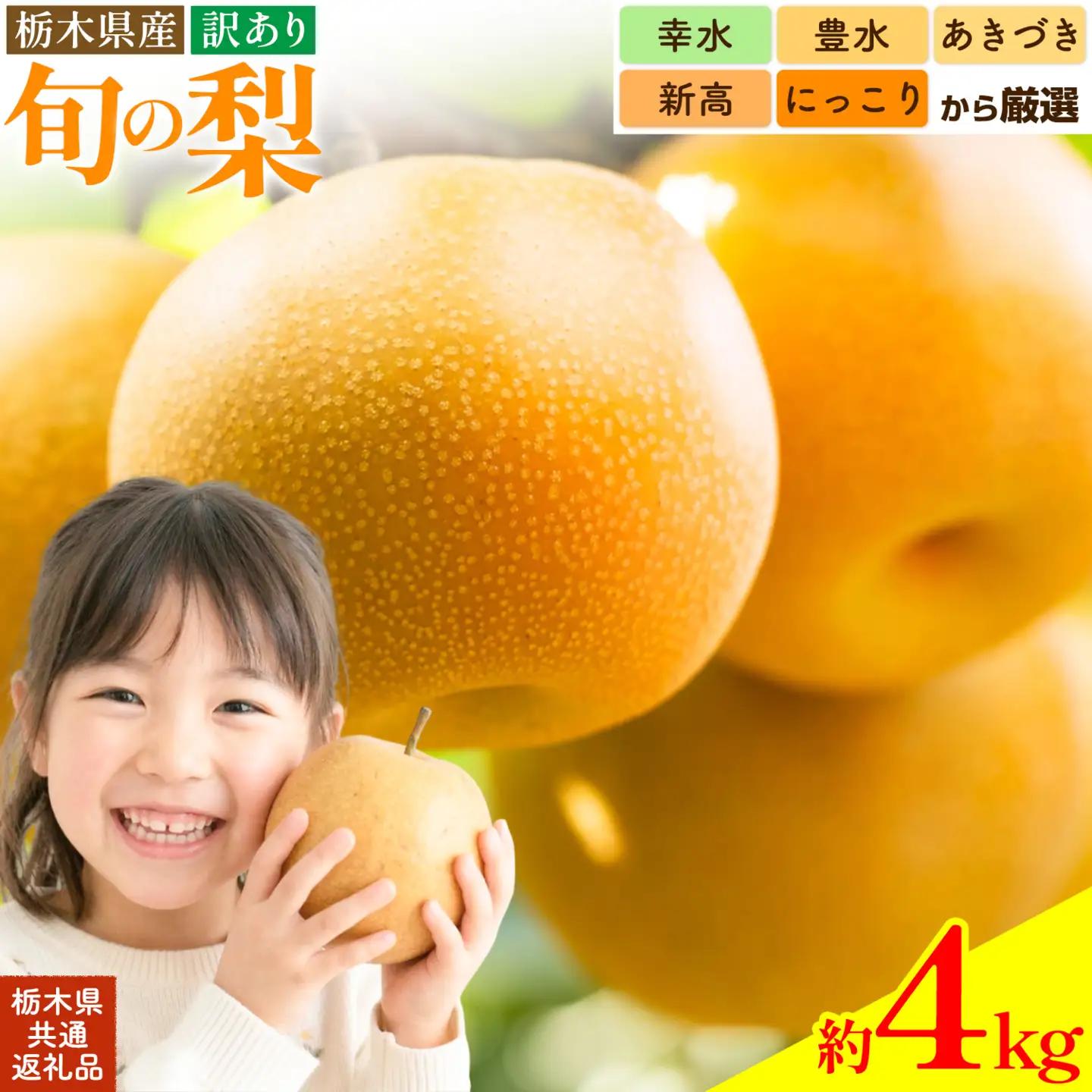 訳あり梨4kg 新高 にっこり梨