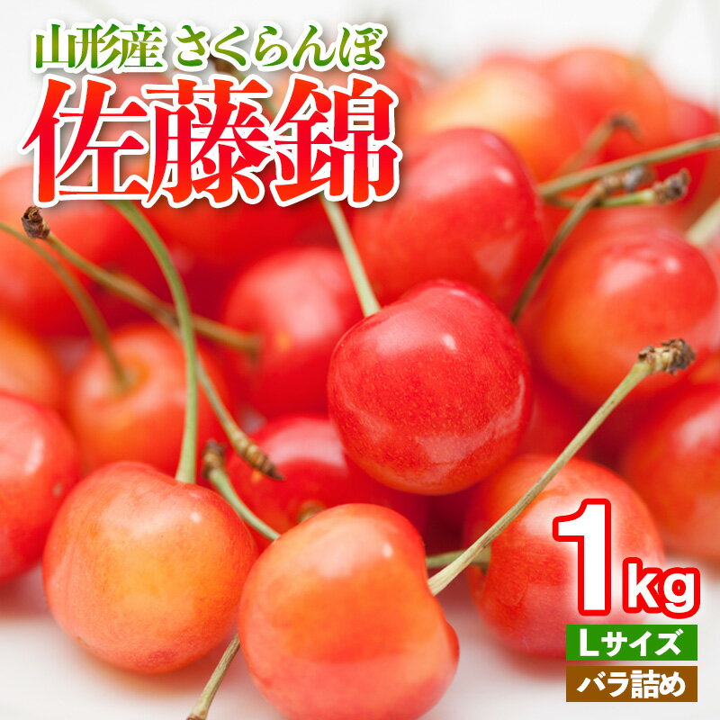 【ふるさと納税】さくらんぼ 佐藤錦 Lサイズ バラ詰め 1kg 2025年産 くだもの フルーツ 農家直送 山形 山形県 山形市 令和7年産 山形県産 送料無料 サクランボ FY25-104