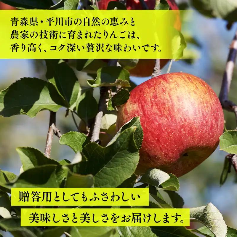 りんご 贈答用サンふじ3kg【hi-0064-008】