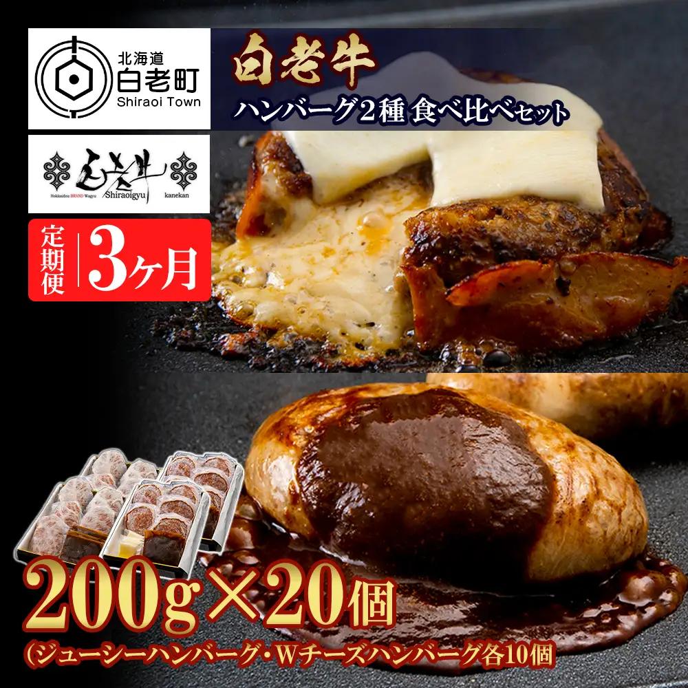 定期便3カ月 お楽しみ 白老牛 2種 食べ比べ ハンバーグ セット 合計20個 BY109