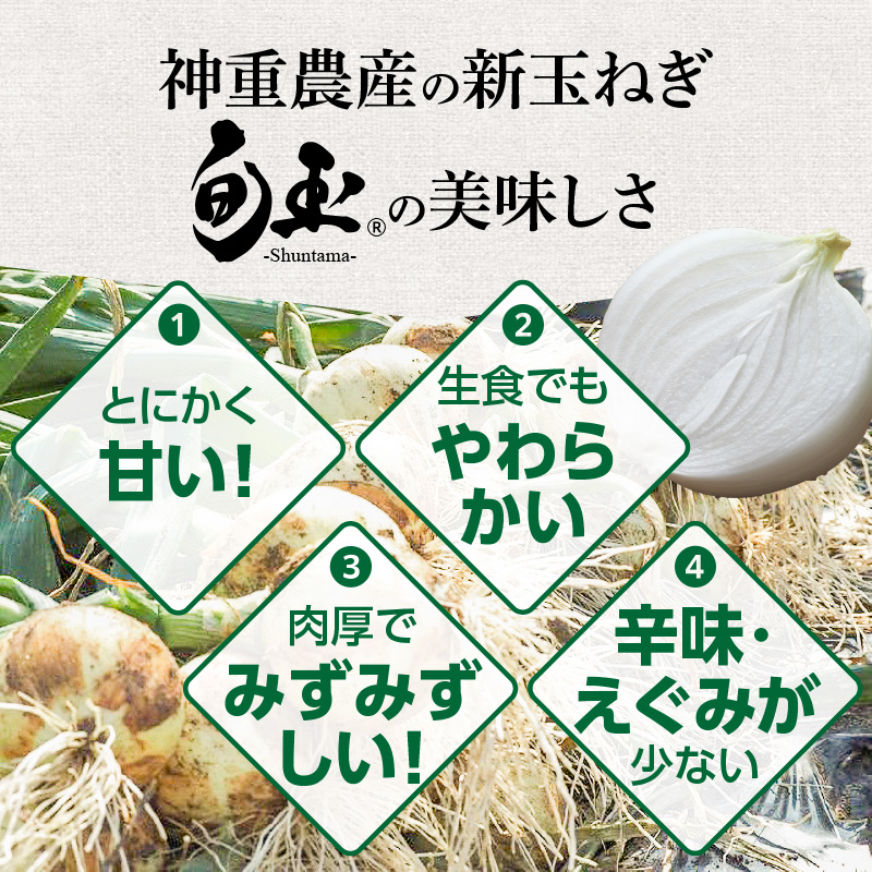 (2026年発送)【先行予約】新玉ねぎ 食べ比べ定期便 生がおいしい 神重農産のブランド玉ねぎ「旬玉」5kg×4回　H105-128