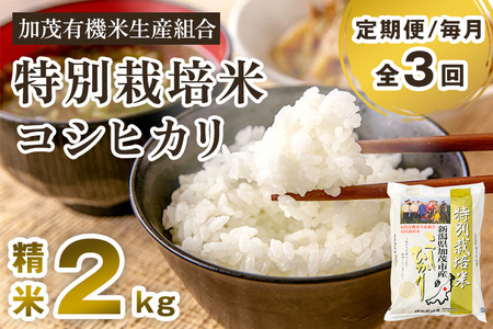 【令和7年産新米先行予約】【定期便3回毎月お届け】新潟県加茂市産 特別栽培米コシヒカリ 精米2kg 《10月中旬から順次出荷》 白米 従来品種コシヒカリ 加茂有機米生産組合 定期便 定期購入 定期 新潟県産コシヒカリ 米 お米