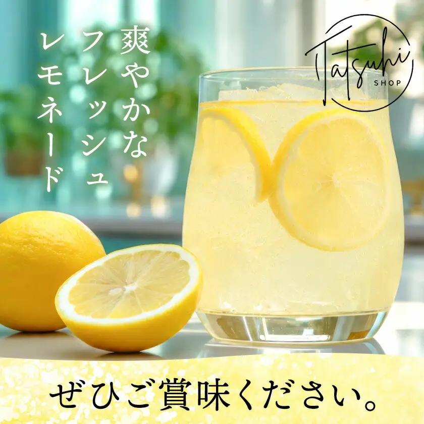 KINOKAWA レモネードのもと 130g×3パック 森脇立日 tatsuhi shop 
