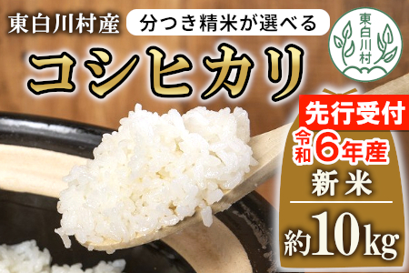 お好みに合わせて精米！令和6年産 コシヒカリ 10kg 東白川村産 玄米 お米 こめ 精米 10000円 一万円