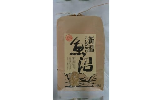 
                  【令和7年】魚沼産しおざわコシヒカリ玄米10kg
                