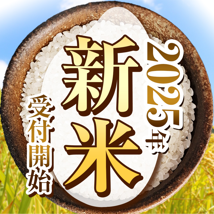 栃木県産 コシヒカリ 10kg | 5kg小分け 新米 米 お米 こめ コメ こしひかり 精米 白米 特A 人気 お買い得 送料無料 限定 栃木県共通返礼品 令和7年産 栃木県産 栃木県 下野市