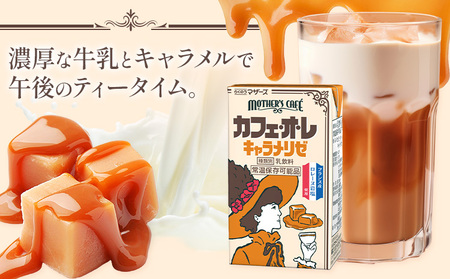 常温保存可能 カフェオレ キャラメリゼ 250ml×24本 1ケース 合同会社たべたせいか《30日以内に出荷予定(土日祝除く)》熊本県 菊池市 コーヒー牛乳 カフェ・オ・レ キャラメル 乳飲料 乳性飲