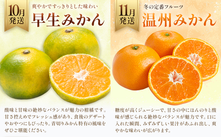 プレミアム フルーツ 定期便 5ヶ月連続 秀品 スペシャル 計35.6kg 日本フルーツ株式会社《2025年8月上旬-12月末出荷》熊本県 荒尾市 シャインマスカット おまかせ 梨 早生みかん 温州み