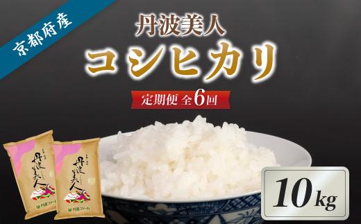 【毎月6回定期便】京都府産 コシヒカリ「丹波美人」白米10kg 令和7年度産 【 お米 米 白米 精米 こしひかり 国産 選べる 定期便 毎月発送 京都 綾部 】