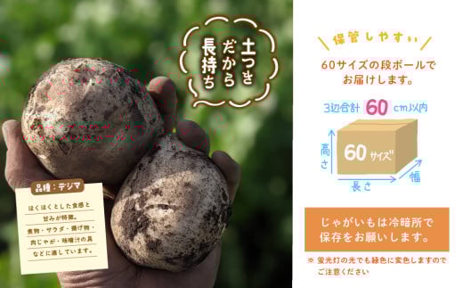おにぎり坊主の土つき有機じゃがいも＿0085-009