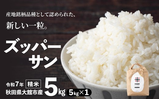 【令和7年産】ズッパーサン精米5kg(5kg×1袋) 100P9007 / 米 5kg 白米 秋田県産 あきたこまち おにぎり 大館 無洗米 こめ 東北 秋田 新品種 ズッパーサン 粒が大きい テレビ キロ キログラム