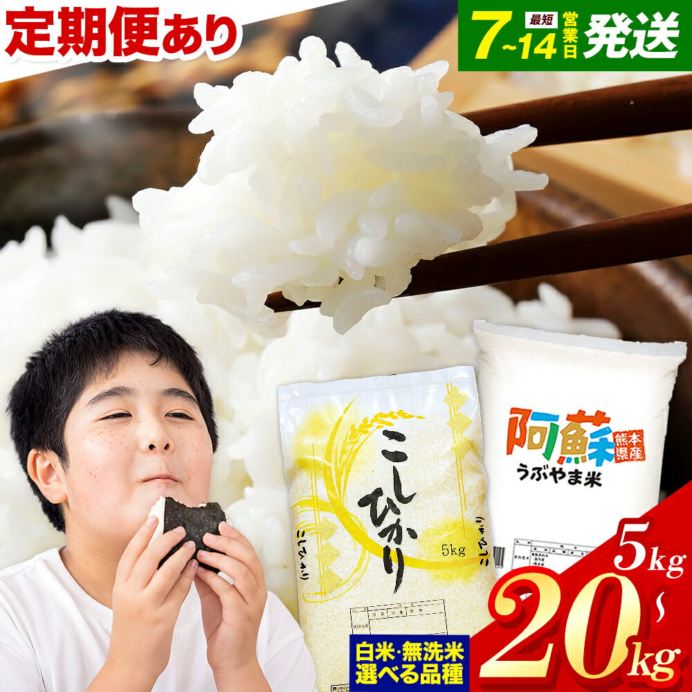 【ふるさと納税】 無洗米 も選べる こしひかり 阿蘇 うぶやま 米 5kg 10kg 15kg 20kg 定期便 も選べる 熊本県産 ふるさと納税 無洗米 白米 精米 ひの 米 こめ ふるさとのうぜい コシヒカリ コメ お米 おこめ