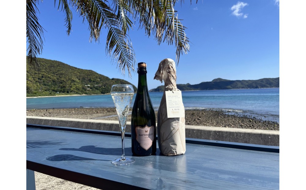 
            tlass SEA CELLAR -2025 2nd Edition- 海底熟成スパークリング 750ml×1本
          