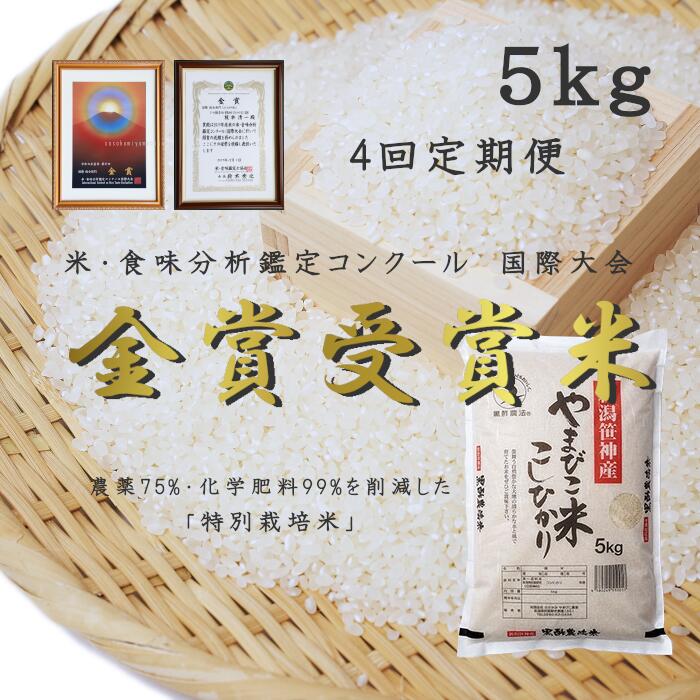 【ふるさと納税】【令和7年産新米予約】≪4か月定期便≫ 農家直送！ 玄米黒酢農法 コシヒカリ 「やまびこ米」 5kg×4回 米 精米 白米 こしひかり 金賞受賞米 食味分析鑑定コンクール 国際大会 国際総合部門 10月中旬より順次発送予定