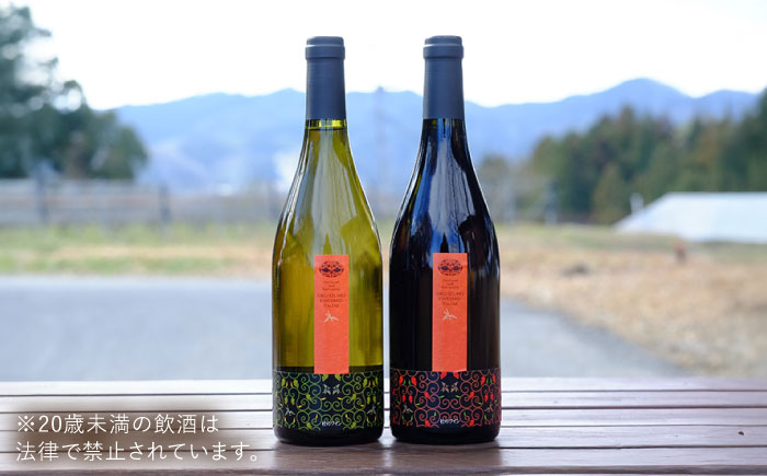 奥出雲葡萄園 杜のワイン白・赤 2本セット  国産 ワイン セット 島根県雲南市/有限会社奥出雲葡萄園 [AICS046]