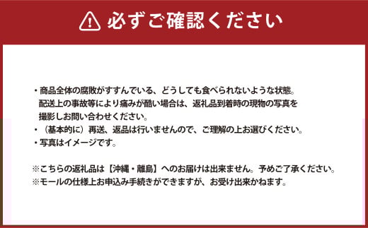 ご家庭用 岡山白桃 晩生 4～5玉 計1.2kg 【2025年8月下旬発送予定】 白桃 桃 もも モモ