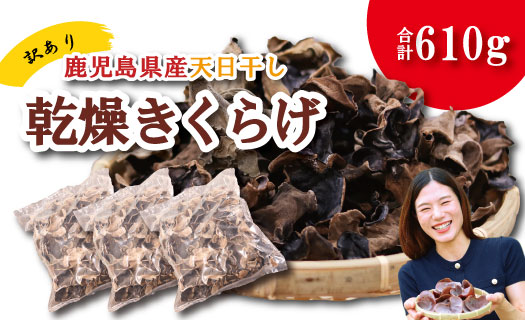 ＼"訳アリ”／鹿児島県産天日干し乾燥きくらげ 合計610g 国産 訳あり 訳アリ 業務用 乾燥きくらげ 野菜 きのこ 健康 食物繊維 低カロリー エムズ わか農園 サラダ みそ汁 スープ 炒め物 煮物 和え物 鹿児島県 薩摩川内市 送料無料 BSR-096